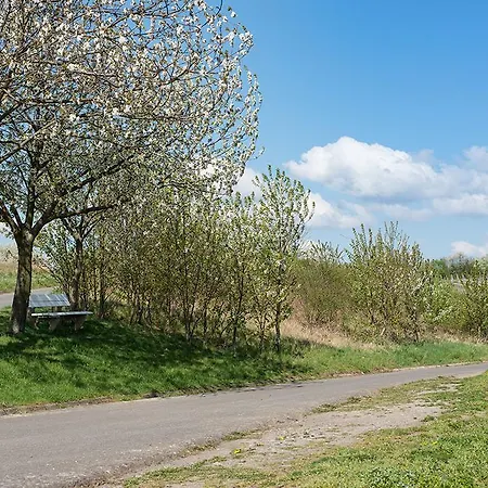 Accommodatie bij particulieren Weingut & Gaestehaus Edwin Hoffmann