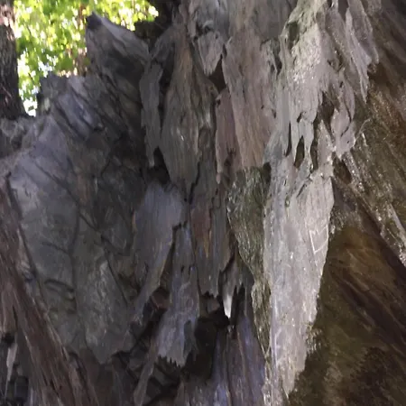 Weingut & Gaestehaus Edwin Hoffmann Accommodatie bij particulieren *