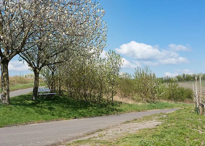 Pansiyon Weingut & Gaestehaus Edwin Hoffmann