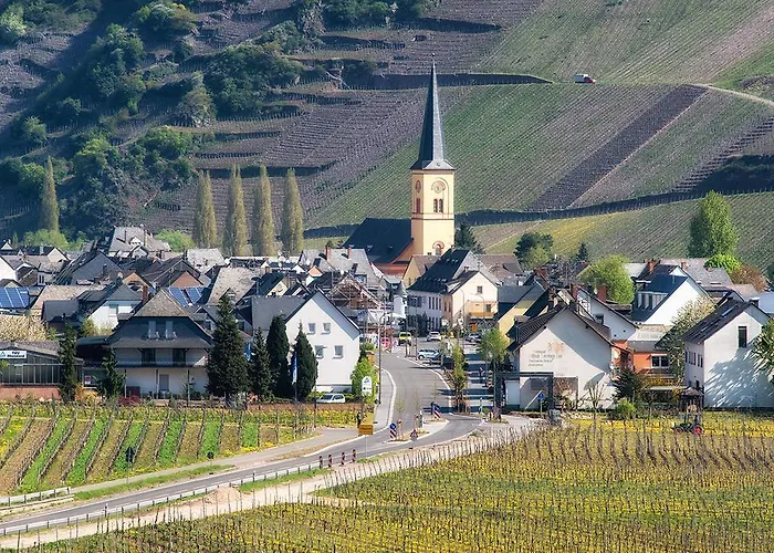 Weingut & Gaestehaus Edwin Hoffmann Pansiyon Trittenheim