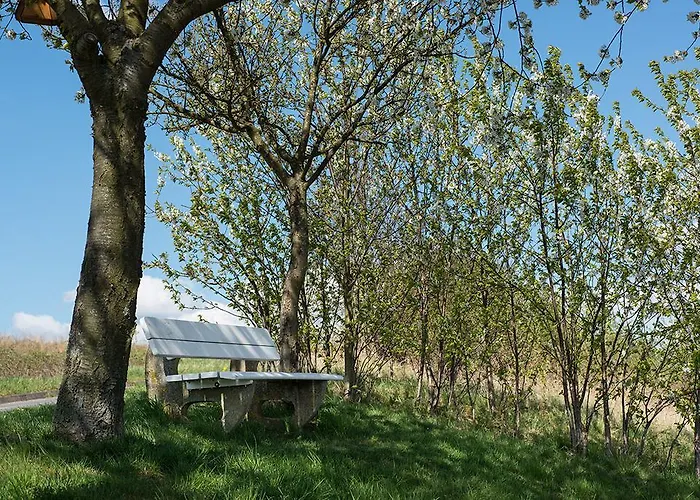 Weingut & Gaestehaus Edwin Hoffmann