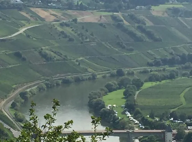 בית אירוח Weingut & Gaestehaus Edwin Hoffmann טריטנהיים