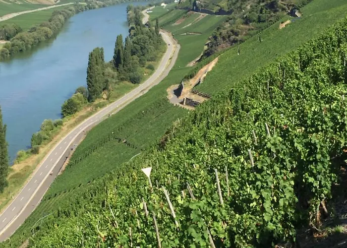 Weingut & Gaestehaus Edwin Hoffmann * טריטנהיים